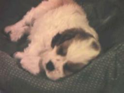 Diana in her bed.