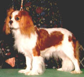 jillian